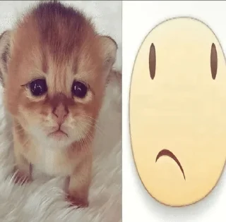 🌟 emoji Kindi (&.) Elou pack's. ♥️ Telegram sticker 24 of 39