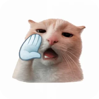 🐱 emoji Lance's Telegram sticker 17 of 34