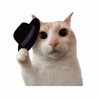 🐱 emoji Lance's Telegram sticker 1 of 34
