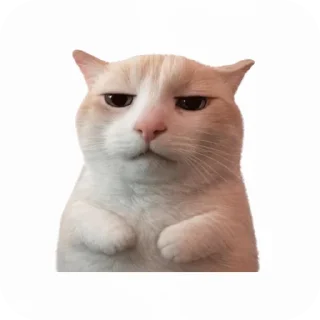 🐱 emoji Lance's Telegram sticker 23 of 34