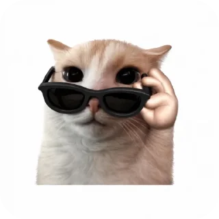 🐱 emoji Lance's Telegram sticker 18 of 34