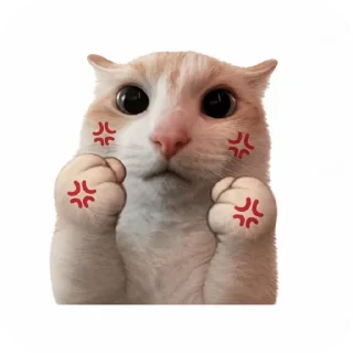 🐱 emoji Lance's Telegram sticker 19 of 34