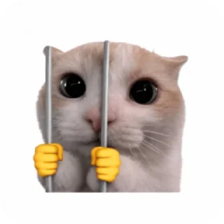 👍 emoji Lance's Telegram sticker 15 of 34