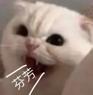 ✨ emoji 酥喂酥喂 Telegram sticker 4 of 92