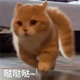 ✨ emoji 酥喂酥喂 Telegram sticker 17 of 92