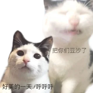 ✨ emoji 酥喂酥喂 Telegram sticker 18 of 92
