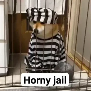 👮‍♂ emoji 🐕 ғᴜᴍɴʏ ᴅᴏɢ [2] 😹 @punithgowdastickersin Telegram sticker 19 of 120