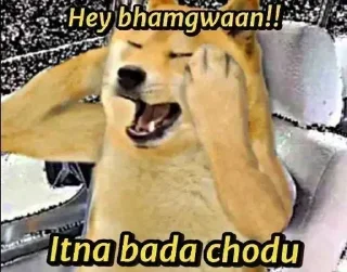 😐 emoji 🐕 ғᴜᴍɴʏ ᴅᴏɢ [2] 😹 @punithgowdastickersin Telegram sticker 21 of 120