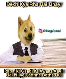 📕 emoji 🐕 ғᴜᴍɴʏ ᴅᴏɢ [2] 😹 @punithgowdastickersin Telegram sticker 8 of 120