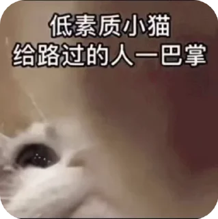 Sticker from 煙燻小喵專屬貼貼2