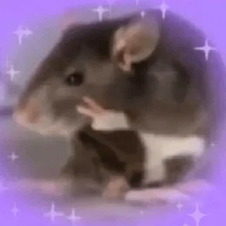 😀 emoji 😎REACCIONES CON SHITPOST👌😏 Telegram sticker 18 of 24
