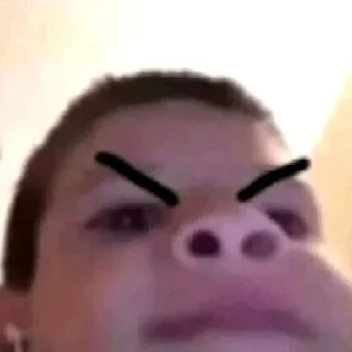 😀 emoji 😎REACCIONES CON SHITPOST👌😏 Telegram sticker 15 of 24