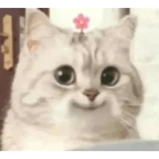🙂 emoji @miyamura_yankton Telegram sticker 16 of 21