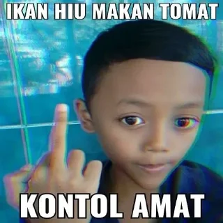 Sticker from Fellyn punya banyak meme