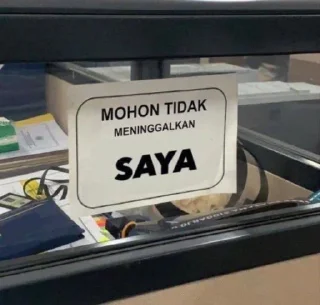 Sticker from pacar mark wkwk