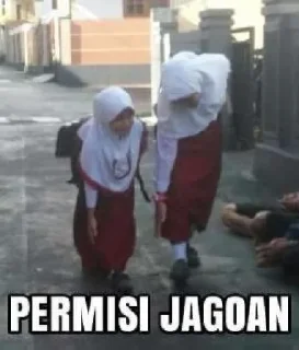 Sticker from meme not meme*