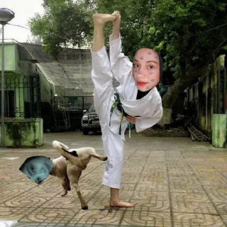 Sticker from COMEDY TELEGRAM