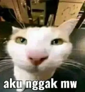 ❌ emoji muti yang bikin ihiyyy Telegram sticker 20 of 44