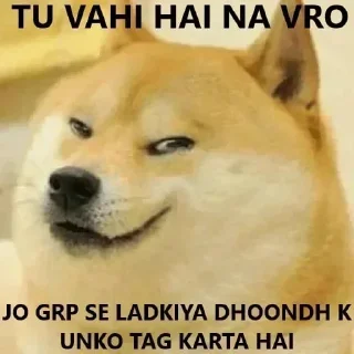 Sticker from 🐕 ғᴜᴍɴʏ ᴅᴏɢ [5] 😹 @punithgowdastickersin