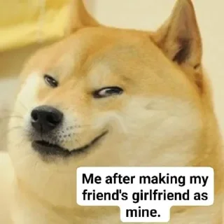 😂 emoji 🐕 ғᴜᴍɴʏ ᴅᴏɢ [8] 😹 @punithgowdastickersin Telegram sticker 15 of 120