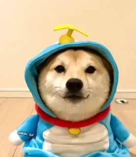 🌸 emoji ইফরাত's Kang Pack (Video) Vol.0 Telegram sticker 19 of 38
