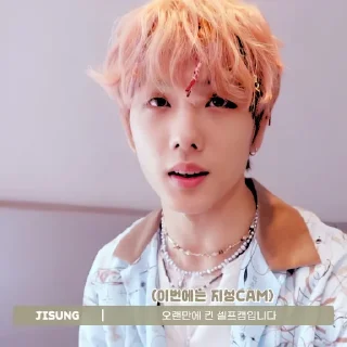 🐹 emoji ‎˗ˏˋ JISUNG ‎´ˎ˗   @chewnggum Telegram sticker 11 of 30