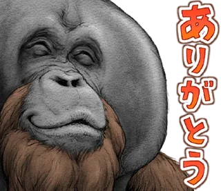 ⭐ emoji Orangutan X panda Telegram sticker 13 of 40