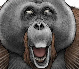 ⭐ emoji Orangutan X panda Telegram sticker 7 of 40