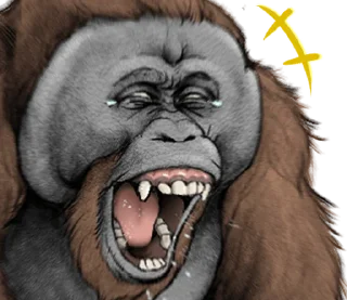 ⭐ emoji Orangutan X panda Telegram sticker 14 of 40