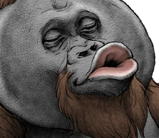 ⭐ emoji Orangutan X panda Telegram sticker 18 of 40