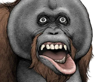 ⭐ emoji Orangutan X panda Telegram sticker 15 of 40
