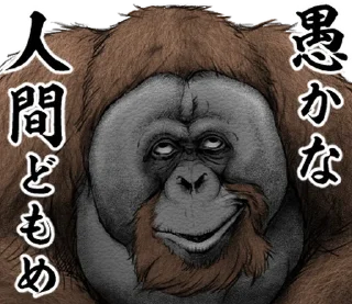 ⭐ emoji Orangutan X panda Telegram sticker 24 of 40