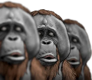 ⭐ emoji Orangutan X panda Telegram sticker 16 of 40
