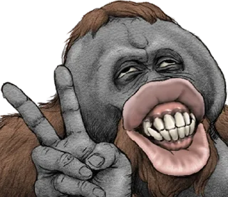 ⭐ emoji Orangutan X panda Telegram sticker 8 of 40