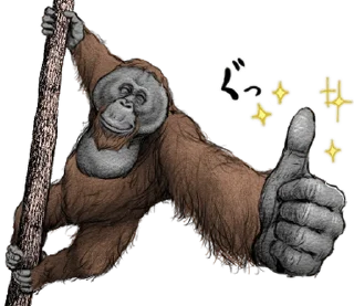 ⭐ emoji Orangutan X panda Telegram sticker 17 of 40