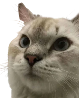 🤔 emoji @Mra356's pack Vol.1 Telegram sticker 15 of 21