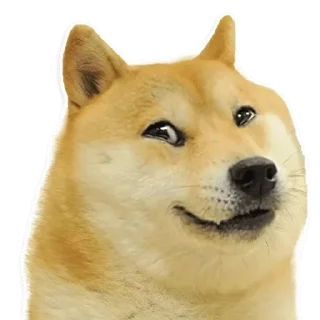 😄 emoji RNDM stolen shits of @foolandcool   √√√√√√√√π÷•~¢$[]{£\HHAHAHHA Telegram sticker 13 of 120