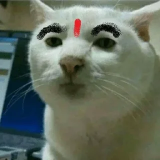 🤔 emoji RNDM stolen shits of @foolandcool   √√√√√√√√π÷•~¢$[]{£\HHAHAHHA Telegram sticker 5 of 120