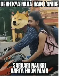 🤔 emoji DOGE SUPREMACY by ( @neel_leen ) — @stckrRobot Telegram sticker 16 of 120