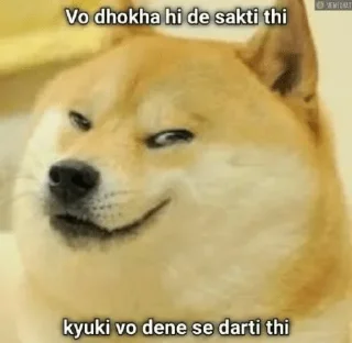 🤔 emoji DOGE SUPREMACY by ( @neel_leen ) — @stckrRobot Telegram sticker 20 of 120