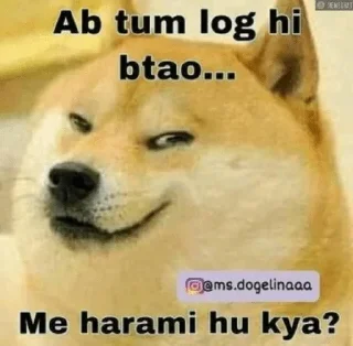 🤔 emoji DOGE SUPREMACY by ( @neel_leen ) — @stckrRobot Telegram sticker 22 of 120