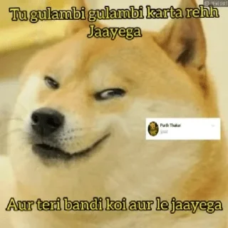 🤔 emoji DOGE SUPREMACY by ( @neel_leen ) — @stckrRobot Telegram sticker 24 of 120