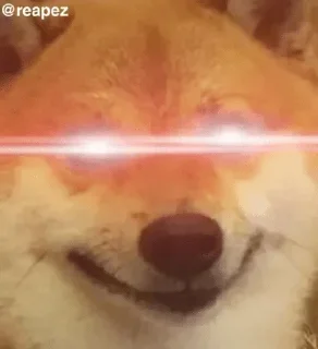 😎 emoji DOGE HUIHUI ( @neel_leen ) — @stckrRobot Telegram sticker 20 of 108