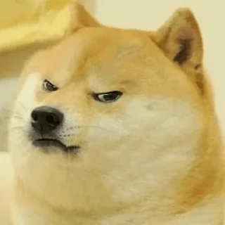 😂 emoji DOGE HUIHUI ( @neel_leen ) — @stckrRobot Telegram sticker 23 of 108