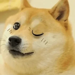 😂 emoji DOGE HUIHUI ( @neel_leen ) — @stckrRobot Telegram sticker 15 of 108