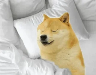 😂 emoji DOGE HUIHUI ( @neel_leen ) — @stckrRobot Telegram sticker 9 of 108