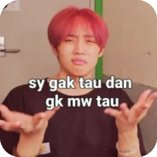 Sticker from sunwoo kabogoh jipey