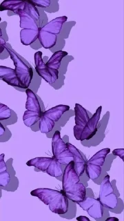 🤩 emoji @couples4ever Purple💜 World Telegram sticker 12 of 44