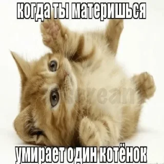 ☺️ emoji вху линочка Telegram sticker 20 of 78