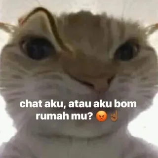 😶 emoji duarr @ekucingilang Telegram sticker 19 of 120